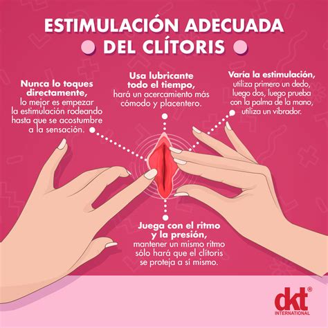 como tocar un clitoris|El clítoris: qué es, dónde está y cómo estimular el órgano del。